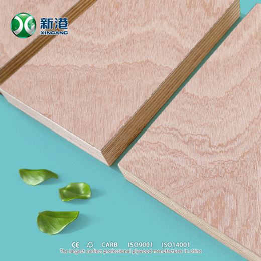 Sapele Plywoood