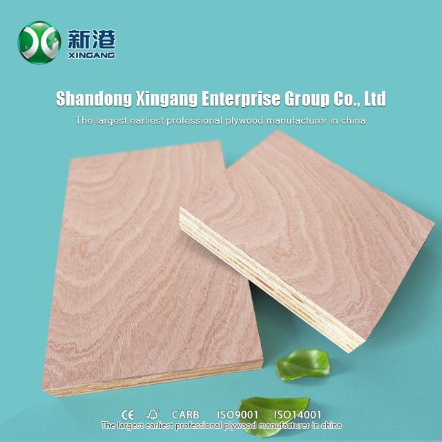 Sapele Plywoood