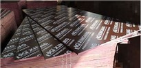 1220x2440mm 18mm Black Brown Red Film Faced Plywood Marine Grade Board Phenolic Board For Construction Usage
