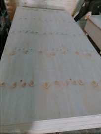 15MM CDX Plywood For Structure