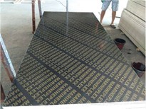 18mm Film Faced Plywood Factory in China