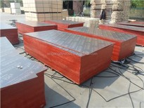 18mm Film Faced Shuttering Formwork Plywood For Construction Use
