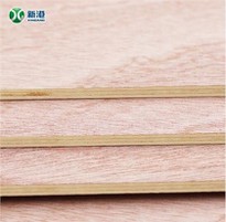 2-30mm Plywood Cheaper Price