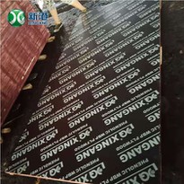 Black Film Poplar Core Constrction Plywood