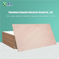 3mm 5mm 9mm 12mm 15mm 18mm Commercial Plywood Baltic Birch Plywood Wholesale