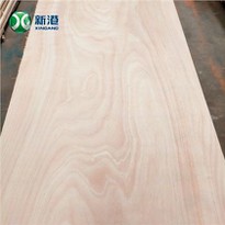 4X8 Commercial & Construction Usage P. Plywood And Ply Wood Plywood And Playwood