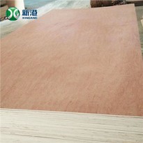Bingtango Face Commercial Plywood