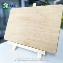 Best Full Birch Plywood XINGANG Brand