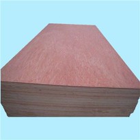 Bintangor BBCC Face Back XG Commercial Plywood