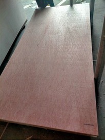 Bintangor Plywood Construction Grade