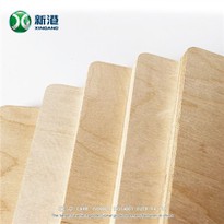 Birch Face Poplar Core Plywood