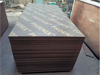 Black Film / Marina Board / Xingang Global Group / CHINA
