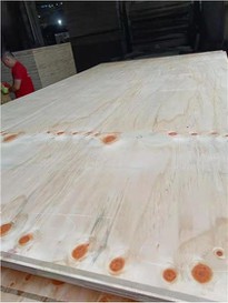 CDX Plywood Factory Price Structure Best Quality