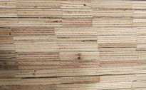 Cheap Finger Joint Core Film Faced Plywood