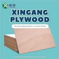 China/ Decoration/ Commercial Plywood