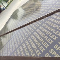 Chinese Plywood Suppliers- Xingang