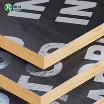 Combi Core Phenolic Glue Two Times Hot Press Film Faced Plywood