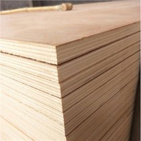 Commercial Plywood High Quality Best Price