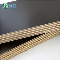 Construction Plywood