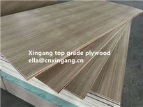 Factory Direct Price Multi Size 3mm 5mm 9mm 12mm 15mm 18mm 25mm Fancy Plywood Red OAK Faced Plywood