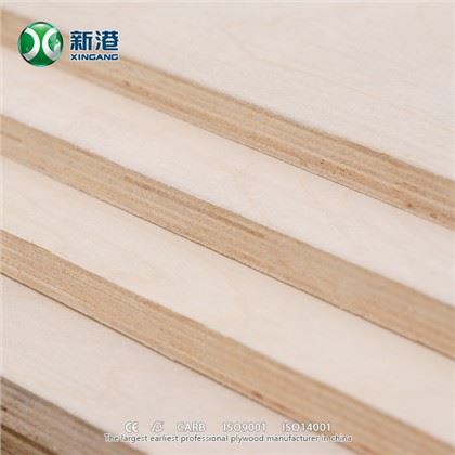 Birch Plywood With Poplar Core