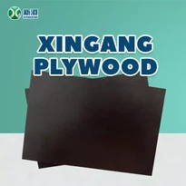 Film Faced Plywood 1220*2440 18MM WBP