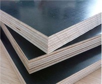 Film Faced Plywood For Concrete Use