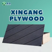 Film Faced Plywood in China Supplier Import Plywood Cheap Price
