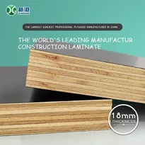 Film Faced Plywood Poplar Core 18mm Finger Joint Core