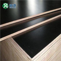 Film Faced Plywood Price