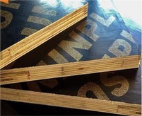 Finger Joint Core Film Faced Plywood Factory