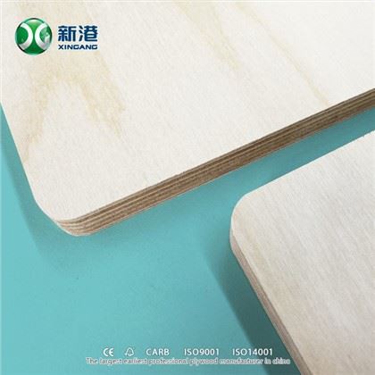 Furniture Plywood With Birch Face/back