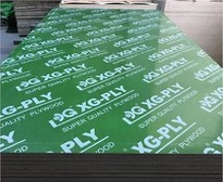 Green Film Plywood