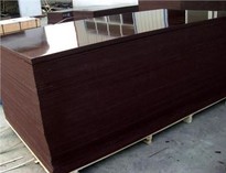 Hot Sale 15mm Film Faced Plywood