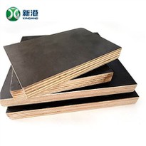 brown Film Construction Plywood