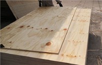CDX Pine Plywood,structure Pine Plywood, Radiate Pine Plywood,construction Grade Pine Plywood