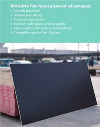 Hot Sale Film Faced Plywood Cheap Plywood Best Prices Film Faced Plywood