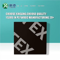 Marine Plywood Flm Faced Plywood 12mm 15mm 18mm Supplier Xingang