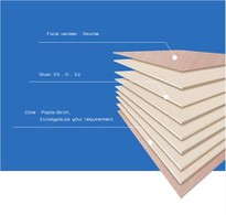 Okoume Commercial Plywood / Xingang Global Group