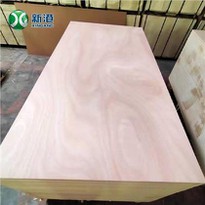 Okoume Face/back Plywood