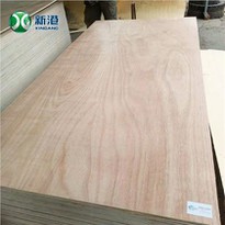 Okoume Face Plywood