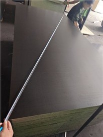 Phenolic Plywood Film Faced Plywood 15mm