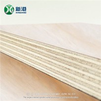 Pine Face/back Plywood