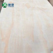 Pine Plywood WBP