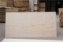 Pine Plywood