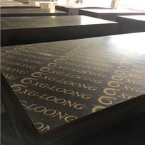 Poplar Film Faced Plywood One Time Hot Press