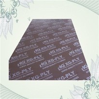 Poplar Main Material Film Faced Plywoods Sheet Middle East Market 15MM 18MM