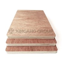 9mm Resistant To Deformation Wood Grain Bintangor Plywood For Packing