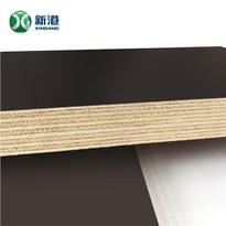 Poplar Core Construction Plywood