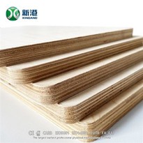 High Quality Plywood Birch Face/back